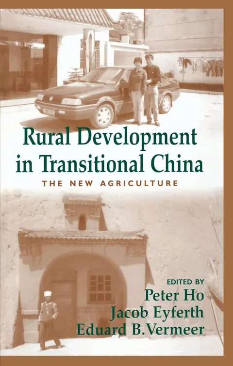 Cover of Rural Development in Transitional China