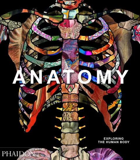 Cover of Anatomy