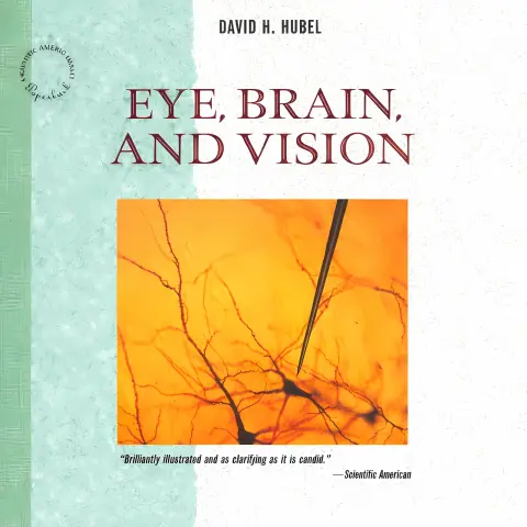 Cover of Eye, Brain and Vision