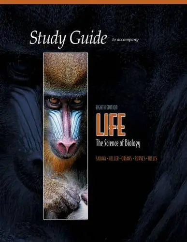 Cover of Study Guide for Life