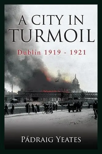 Cover of A City in Turmoil