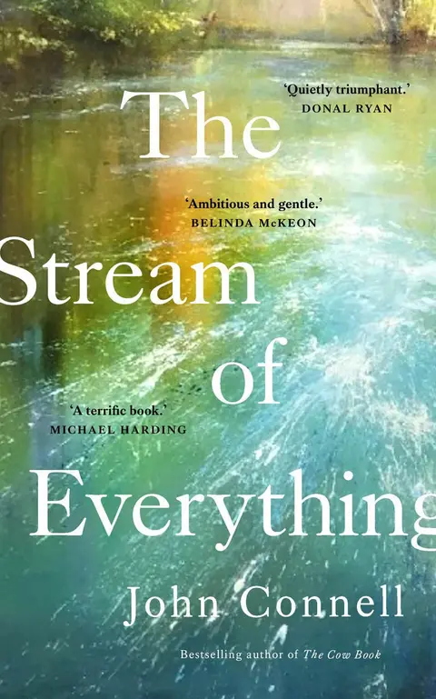 Cover of The Stream of Everything