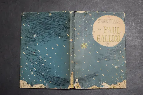 Cover of Snowflake