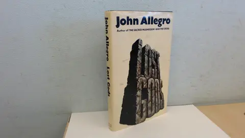 Cover of Lost Gods