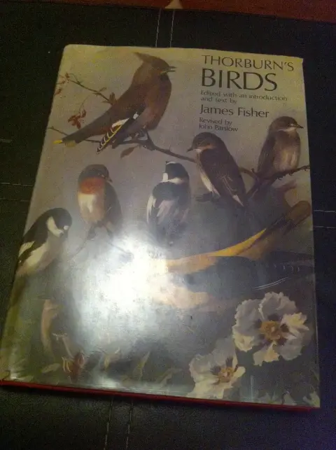 Cover of Thorburn's Birds