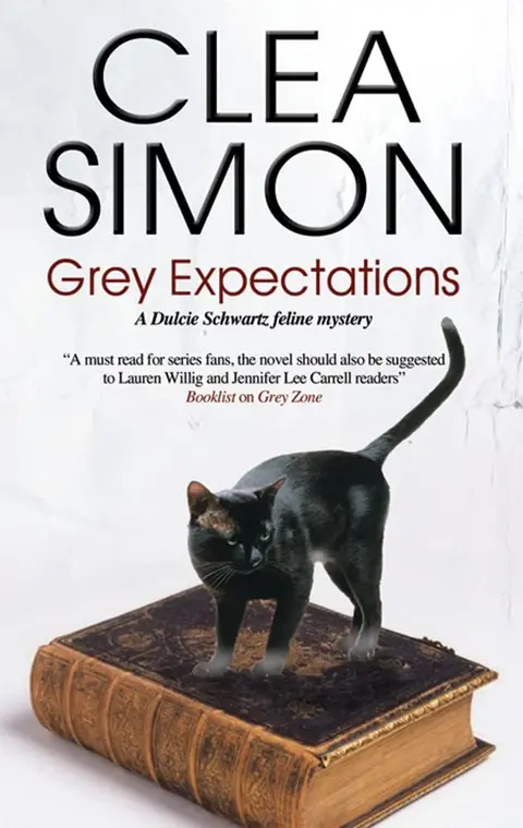 Cover of Grey Expectations