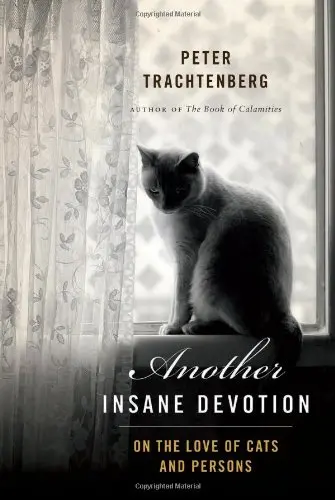 Cover of Another Insane Devotion