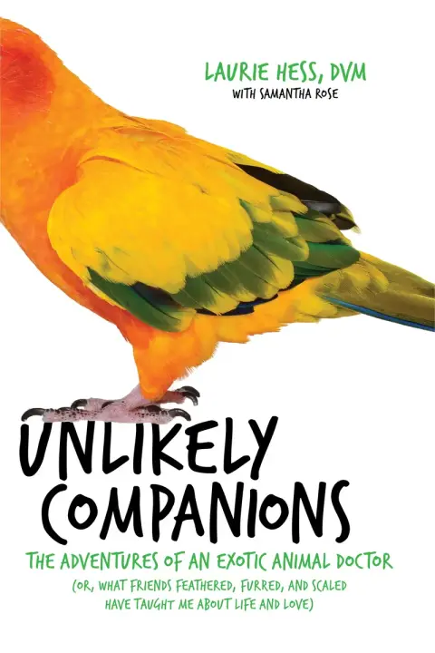 Cover of Unlikely Companions