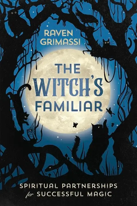 Cover of Witches Familiar