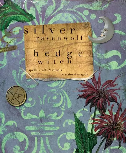 Cover of Hedgewitch