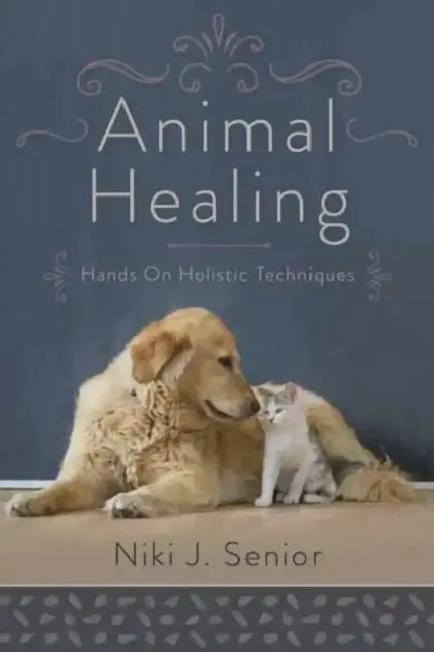Cover of Animal Healing