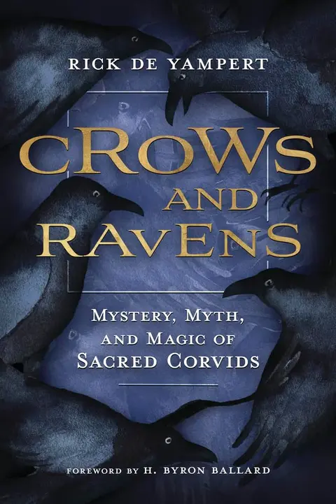 Cover of Crows and Ravens