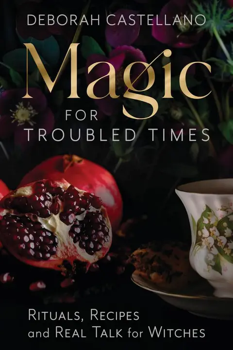 Cover of Magic for Troubled Times