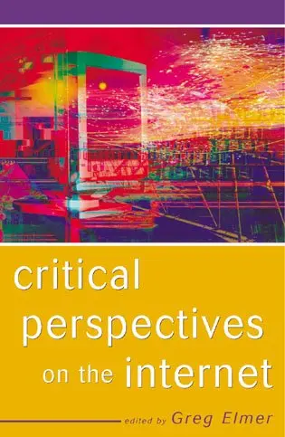 Cover of Critical Perspectives on the Internet