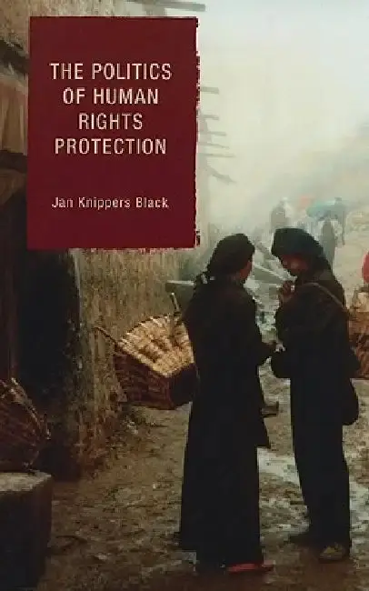 Cover of The Politics of Human Rights Protection