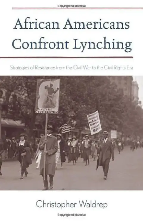 Cover of African Americans Confront Lynching
