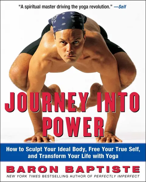 Cover of Journey into Power