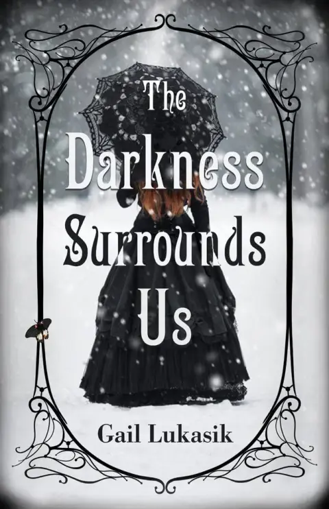 Cover of The Darkness Surrounds Us