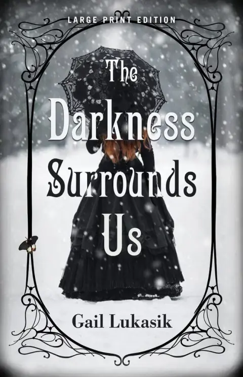Cover of The Darkness Surrounds Us