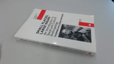 Cover of Small Places, Large Issues