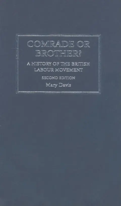 Cover of Comrade or Brother?