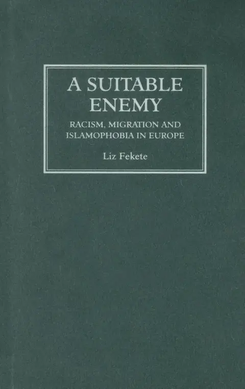 Cover of A Suitable Enemy
