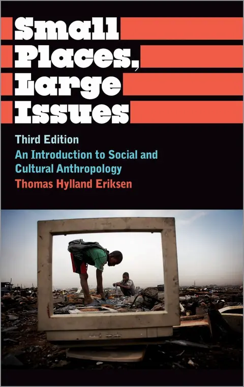 Cover of Small Places, Large Issues
