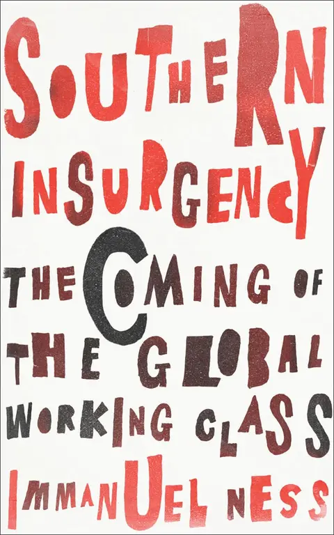 Cover of Southern Insurgency
