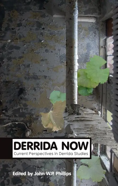 Cover of Derrida Now