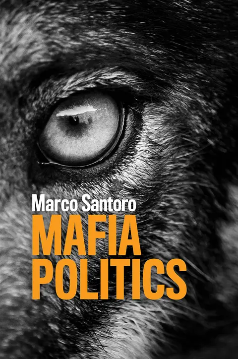 Cover of Mafia Politics