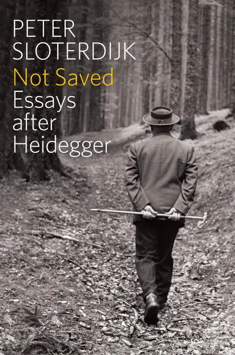 Cover of Not Saved