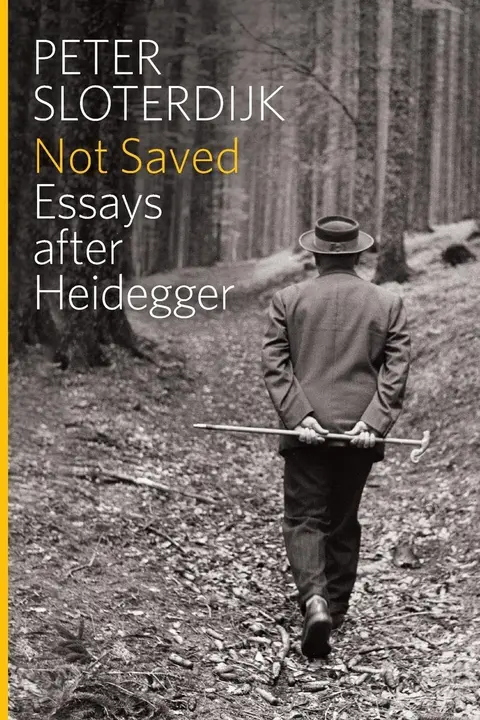 Cover of Not Saved
