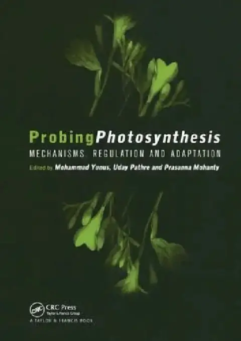 Cover of Probing Photosynthesis