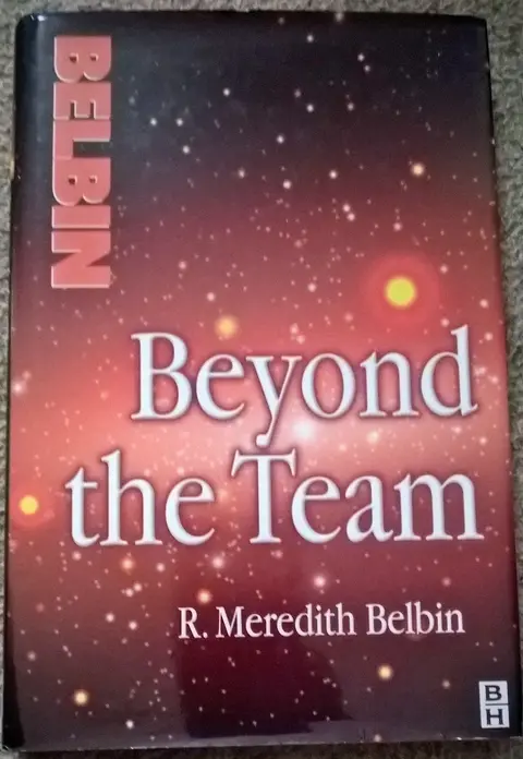 Cover of Beyond the Team