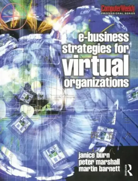 Cover of e-Business Strategies for Virtual Organizations