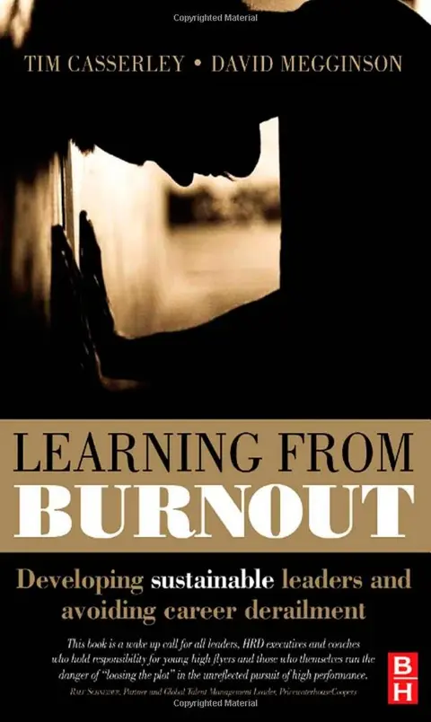 Cover of Learning from Burnout