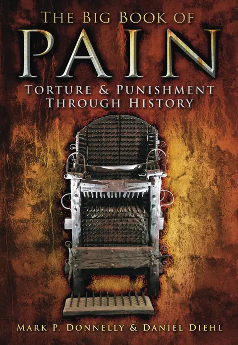 Cover of Big Book of Pain