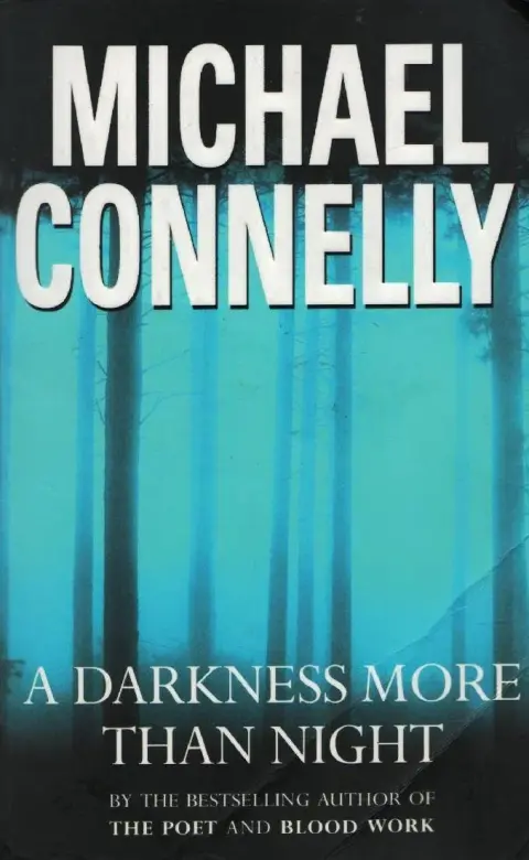 Cover of A Darkness More Than Night