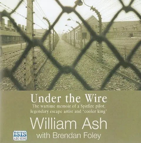 Cover of Under the Wire