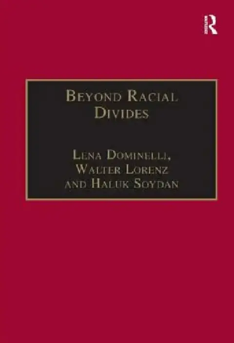 Cover of Beyond Racial Divides