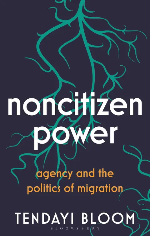 Cover of Noncitizen Power
