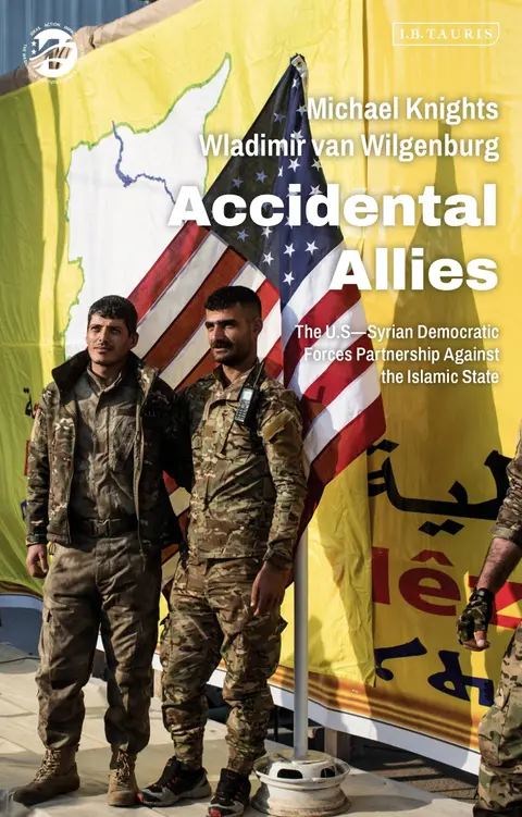 Cover of Accidental Allies