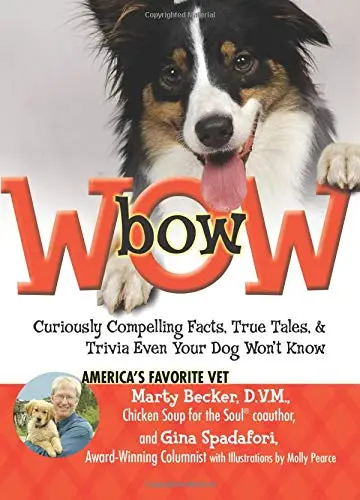 Cover of Bow Wow