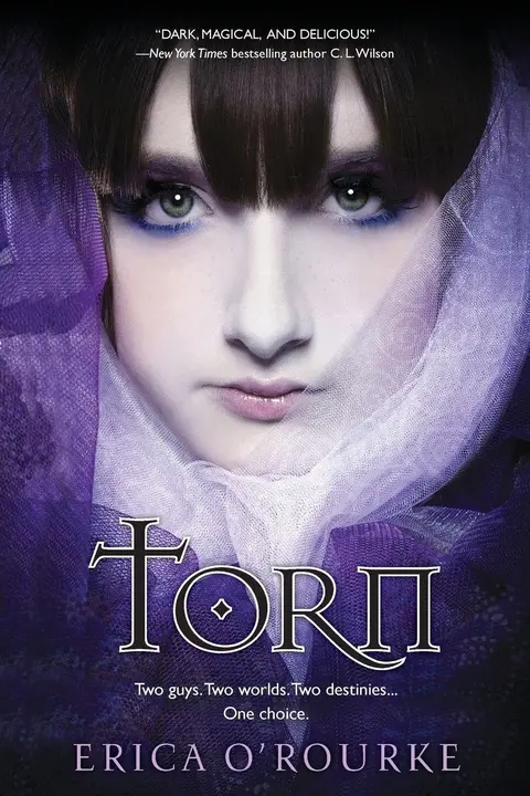 Cover of Torn