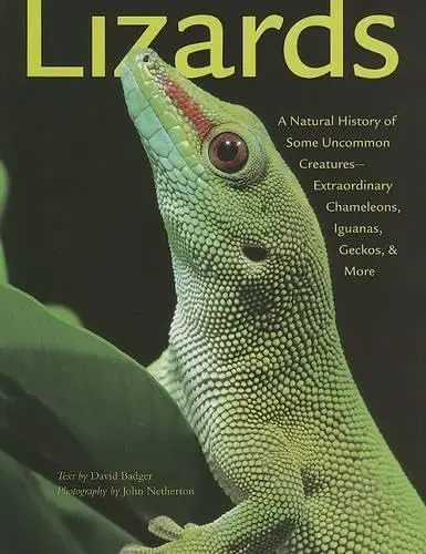 Cover of Lizards