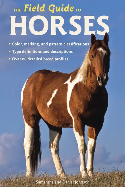 Cover of The Field Guide to Horses