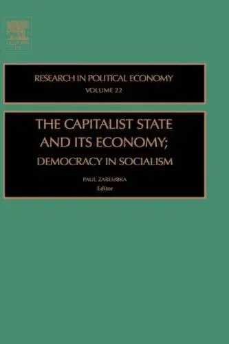 Cover of Capitalist State and Its Economy
