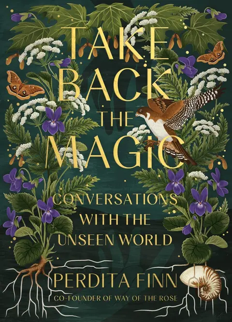 Cover of Take Back the Magic