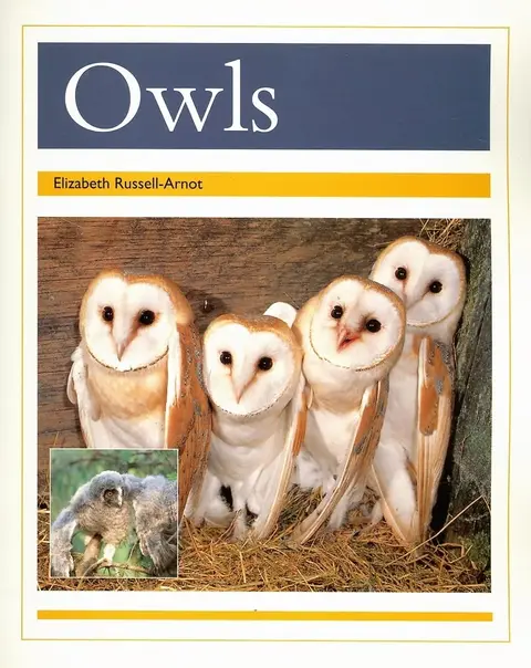 Cover of Owls