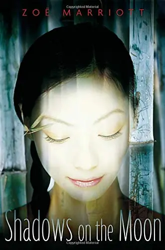 Cover of Shadows on the Moon
